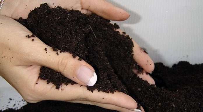 Вимоги до грунту для розсади