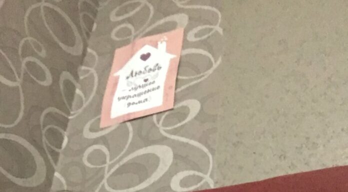 Мої хвостики