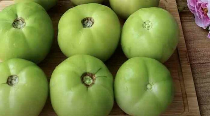 Маринуємо зелені помідори, але не цілком, а з фаршировкою. Якщо додати часнику, через день хрумтять апетитніше огірків