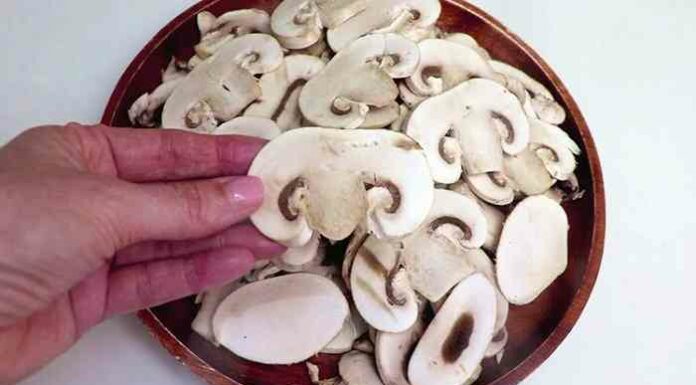 Беремо фарш з грибами 1 до 1 і звертаємо рулетом. Готується за 10 хвилин, замінює гаряче і нарізки одночасно