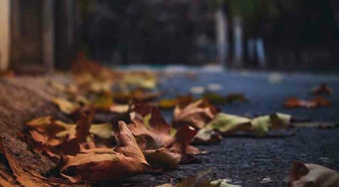 Ти у себе одна: як втекти з полону любові до колишнього