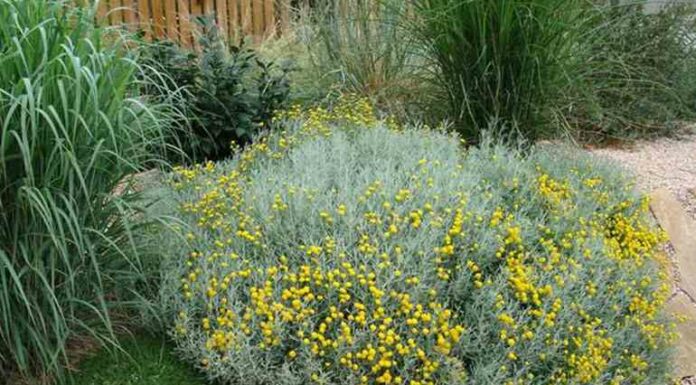 Виділення часток дітям