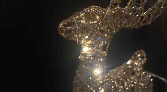 Дівчата розходимося…lamel professional moonrise chameleon eyeliner 401