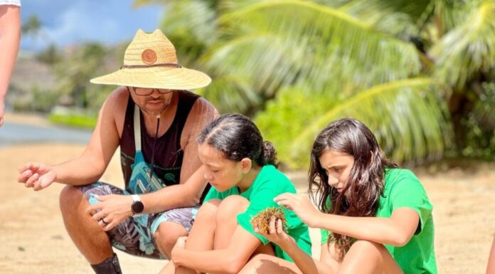 Прощання з принципом “один учитель, один клас”: як нові моделі модернізують викладання