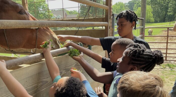 У Теннессі мешап у Мемфісі змінює спосіб навчання дітей.