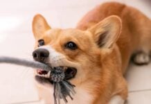 Разрыв отношений с edtech: неожиданная сложность удаления данных