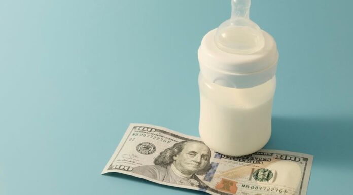 Трисегментный подход: Платформа для решения кризиса с детским уходом в США