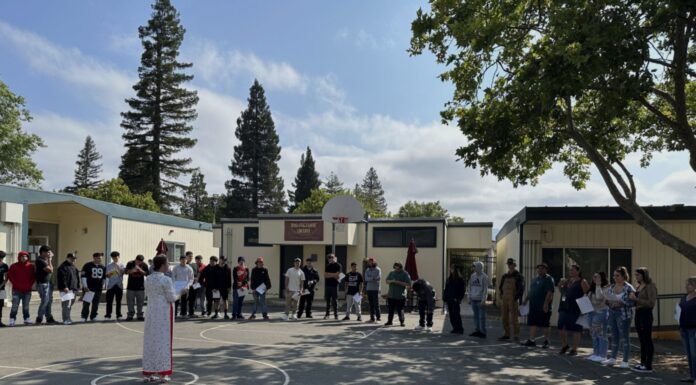 Возвращение к Молодости: Как Школа в Юкайе Переписывает Образование