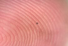 Прорив у галузі мікророботів: автономні машини менше зерна солі