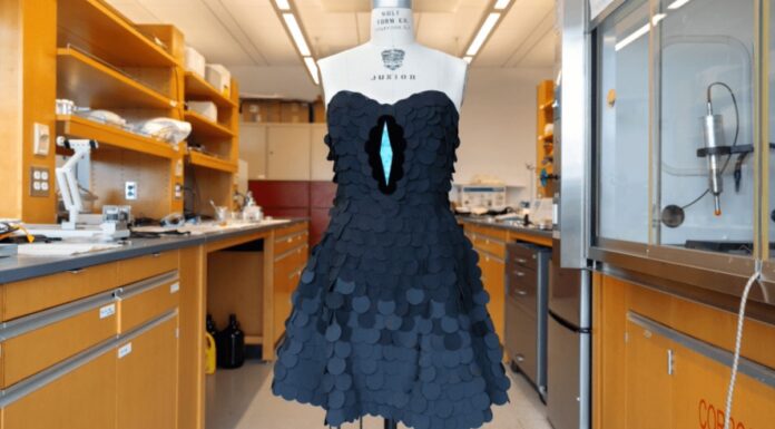 Найтемніша тканина у світі: натхненна птахами