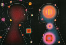 Шосте почуття: як інтерроцепція може відкрити нові шляхи в лікуванні психічних розладів