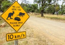 Видобуток корисних копалин як науковий ресурс: невикористана можливість