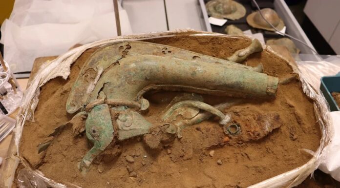 2000-річна кельтська бойова труба, знайдена в Англії