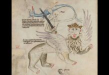 Средневековая чумная братская могила обнаружена в Германии с использованием передовой картографии