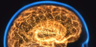 Cómo tu cerebro crea recuerdos falsos: la ciencia de recordar mal