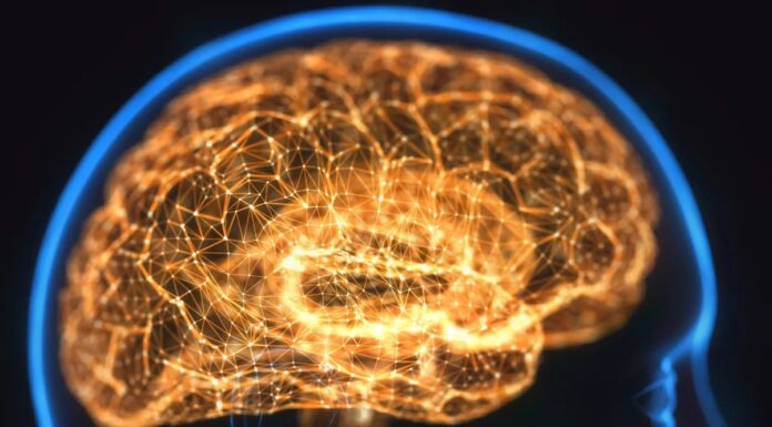 Як ваш мозок створює хибні спогади: наука хибних уявлень