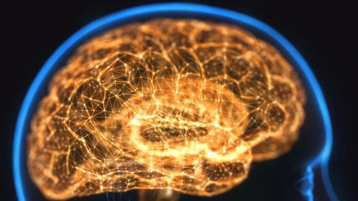 e8abf2f7-bf06-4473-b0bc-0839b910d93d