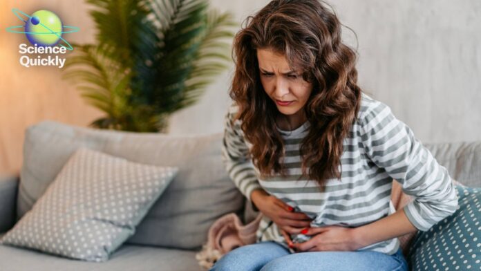 44847e6e-133d-4371-8aa6-4c009be4f54b