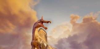 Nově objevený Spinosaurus odhaluje lovecké návyky dávných predátorů hluboko ve vnitrozemí