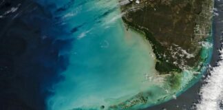 Cambio dramático: la NASA detecta un cambio de color en las aguas del Golfo de Florida