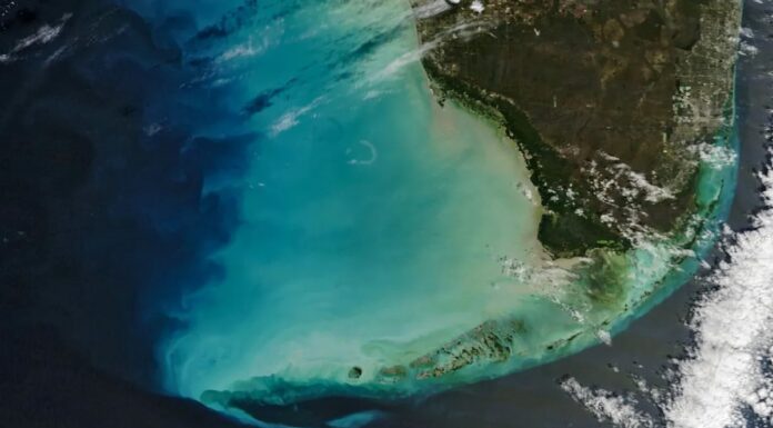 Різке Зрушення: NASA Зафіксувала Зміна Кольори Вод Мексиканської Затоки у Флориди