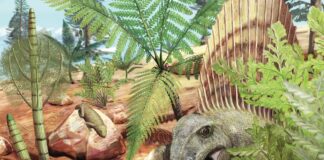 Starożytne wymioty ujawniają interakcje drapieżnika z ofiarą na długo przed dinozaurami