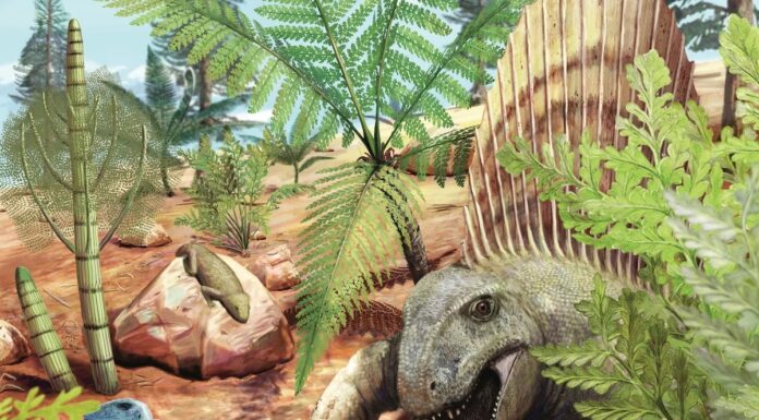 Стародавня Блювота Розкриває Взаємодія Хижака та Видобування задовго до Динозаврів