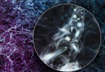 Астрономы Открыли Массивную Вращающуюся Структуру в Глубоком Космосе