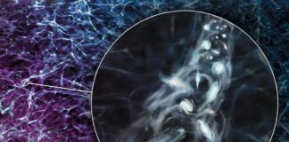 Astronomové objevují masivní rotující strukturu v hlubokém vesmíru