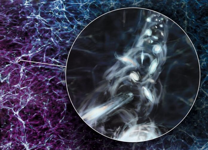 f7cdd5d8-50cb-4976-a086-d226cf35a95f