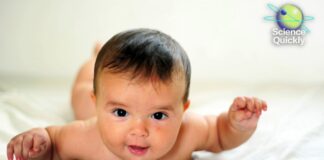 NASA odkłada misję księżycową w obliczu rozbłysków słonecznych: przegląd wiadomości naukowych