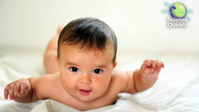 fcc40ec5-1328-4a5f-9080-1ffc63320907