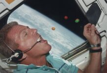 Artemis II: Астронавти поласують тортильями та кавою під час місячної подорожі