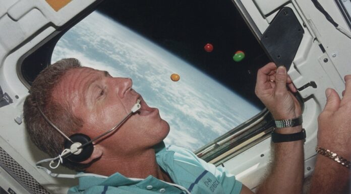 Artemis II: Астронавти поласують тортильями та кавою під час місячної подорожі