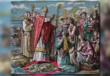 Irsko bez hadů: Příběh ledu, izolace a mýtu