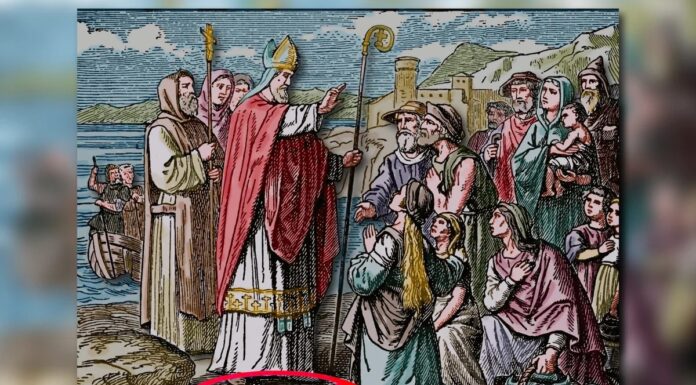 Ірландія без змій: Історія про льоди, ізоляцію та міф