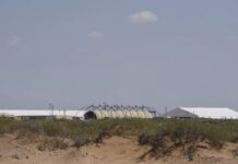 Підтверджено спалах кору у великому імміграційному центрі тримання під вартою США