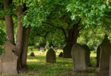 Найбільш Екологічний Спосіб Померти: Огляд Варіантів Поховання