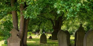 Najbardziej ekologiczny sposób na śmierć: przegląd opcji pochówku