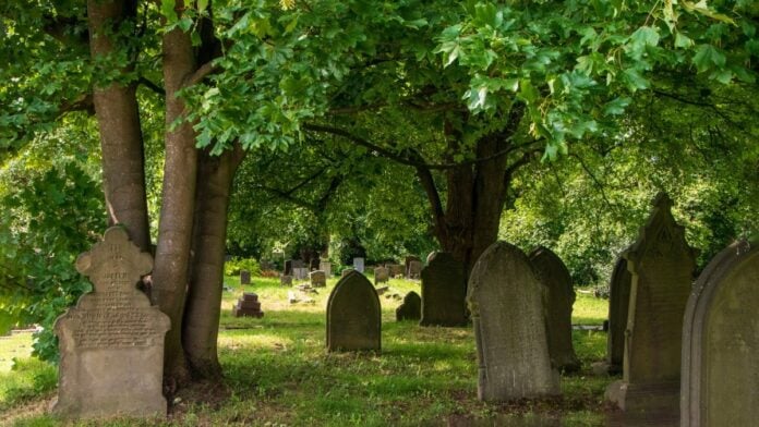 81689fb6-fff1-4037-a59f-453bdb72017e