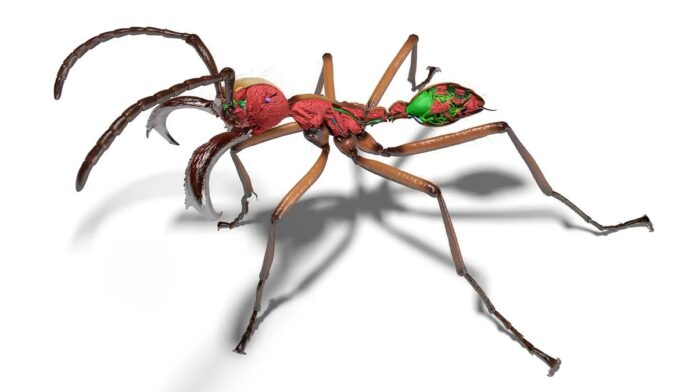 81d555b6-6a88-4f3e-b7cc-65c9253be8bc