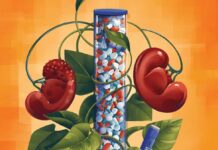 Прорив у Лікуванні Захворювань Нирок: Нові Препарати Дають Надію на Оборотність