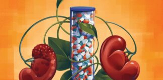 Percées dans le traitement des maladies rénales : de nouveaux médicaments offrent un espoir d’inversion