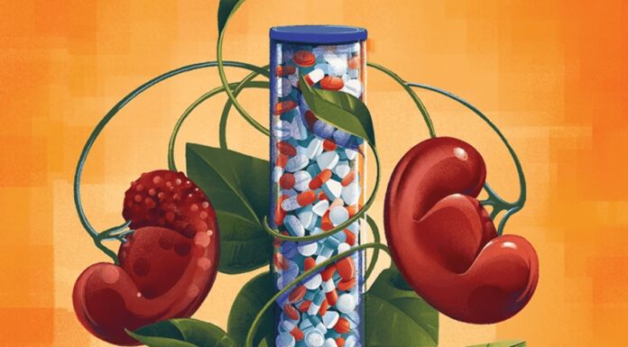 Прорив у Лікуванні Захворювань Нирок: Нові Препарати Дають Надію на Оборотність