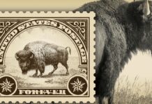 Жовтогірський бізон увічнений на новій американській поштовій марці