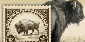 Желтогорский бизон увековечен на новой американской почтовой марке