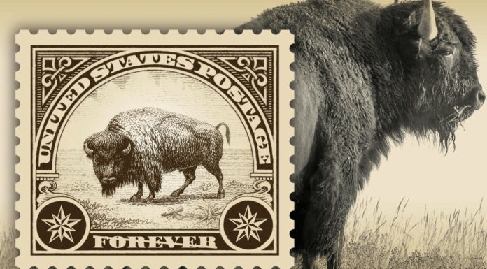Жовтогірський бізон увічнений на новій американській поштовій марці