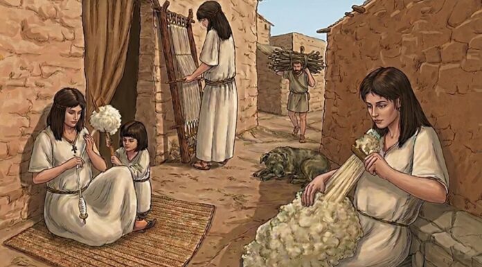 3500-річна Ткацька Рама Проливає Світло на Виробництво Текстилю у Бронзовому Віці