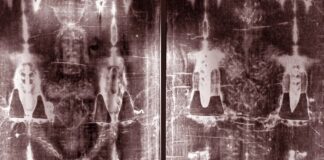 New DNA Research on the Shroud of Turin: Breakthrough or Biological Noise?