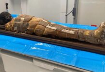 Приховані таємниці: археологи виявили загадковий предмет на 2000-річній єгипетській мумії